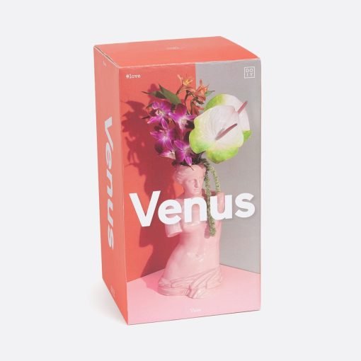 Vaza | VENUS 2