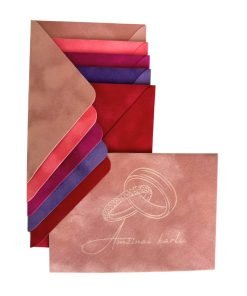 Vokeliai pinigams, 5+1 | NUOŠIRDŽIAUSI SVEIKINIMAI’ Ryšku 2