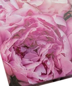 Užrašinė  | KARALIŠKI BIJŪNAI 3