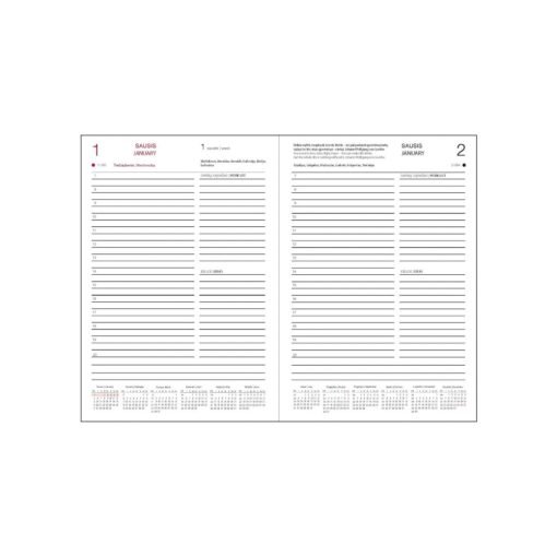 Darbo knyga 2025 | MEDIS \ kietu eko odos viršeliu, 3 galimi formatai - Image 6