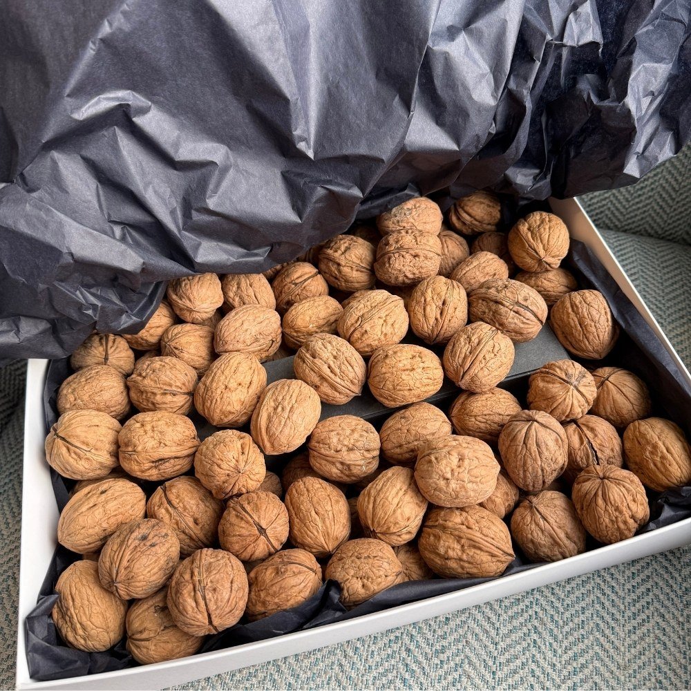 Rinkinys graikiniai riešutai ir riešutų gliaudiklis | STIPRU - Image 3